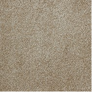 Signature Sensation Notion 734